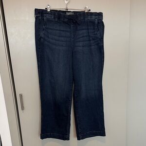 Torrid Dark Blue Wide Leg